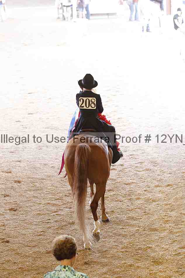 Proof Number 12yn_14832