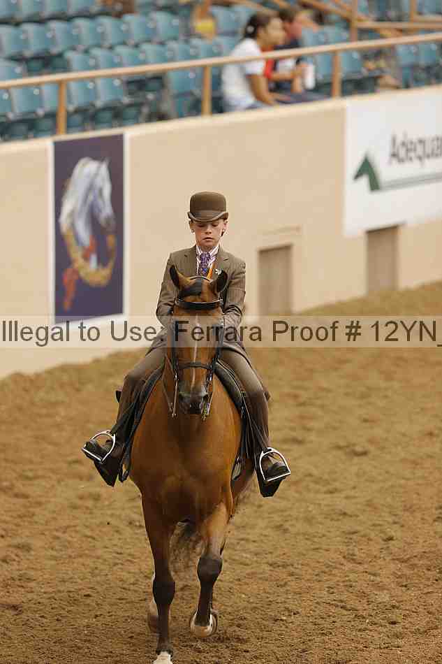 Proof Number 12yn_14095
