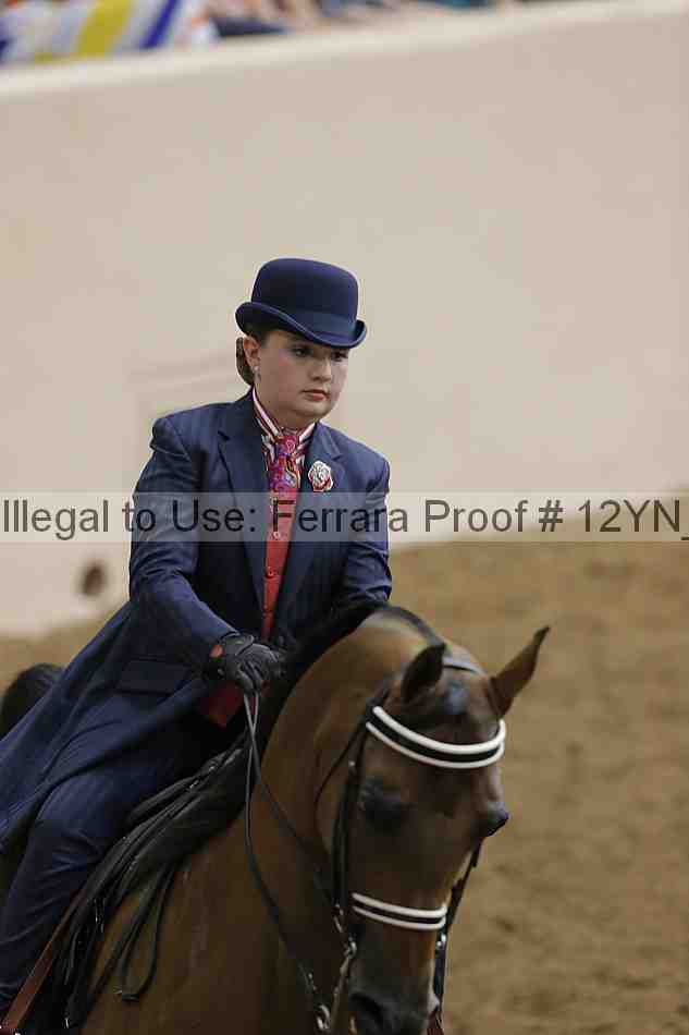 Proof Number 12yn_14099