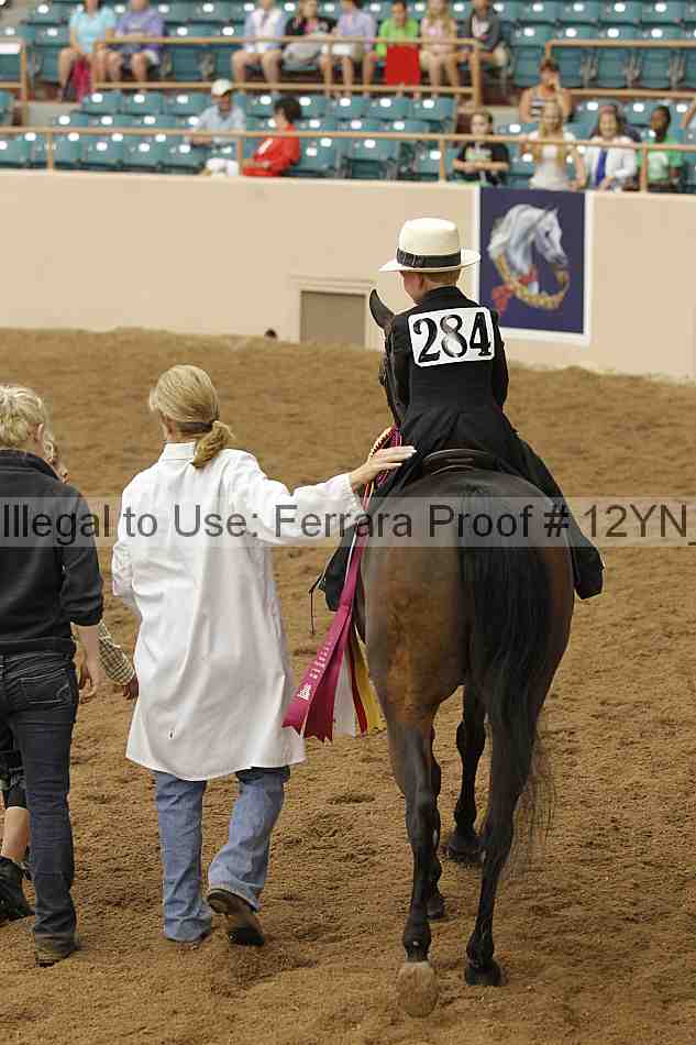 Proof Number 12yn_20260