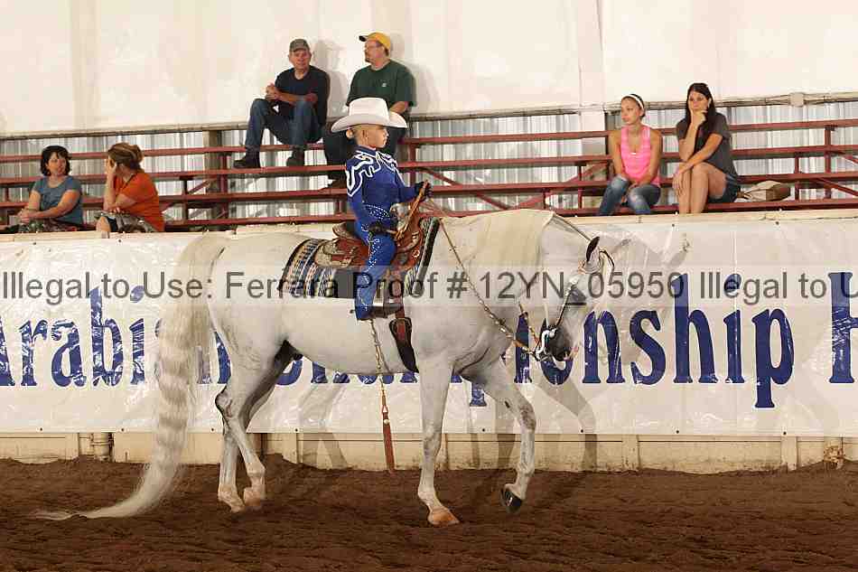 Proof Number 12yn_05950