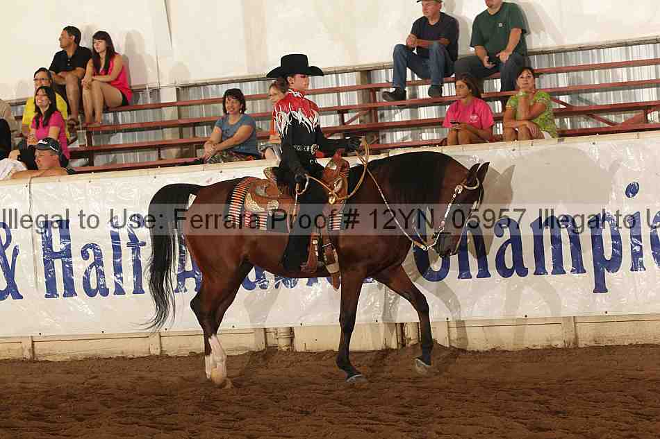 Proof Number 12yn_05957