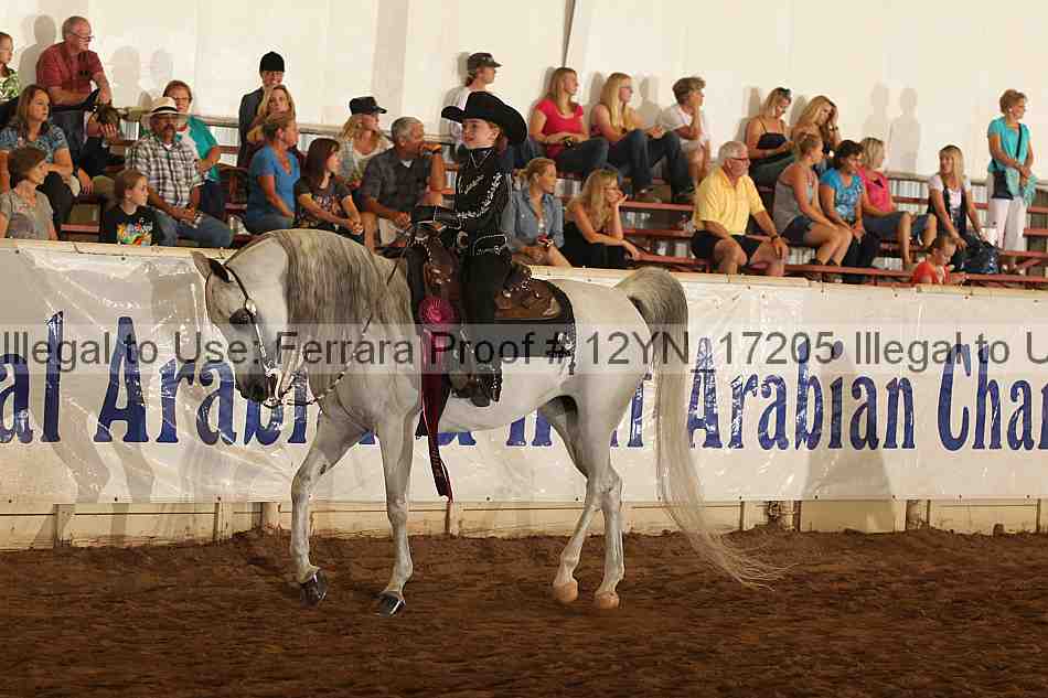 Proof Number 12yn_17205