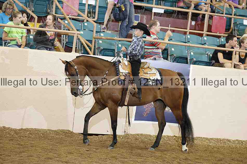 Proof Number 12yn_13211