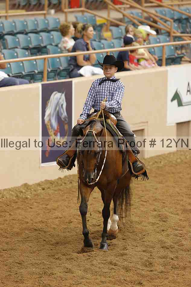 Proof Number 12yn_13255