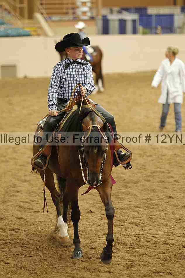 Proof Number 12yn_13362