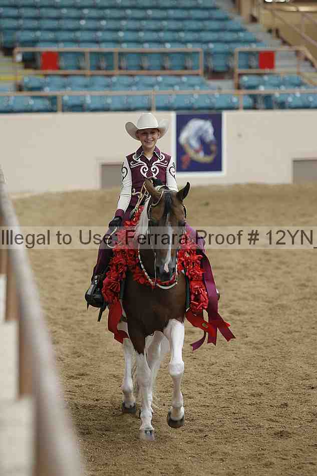 Proof Number 12yn_13409
