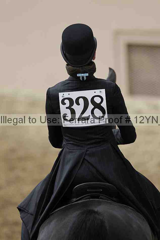 Proof Number 12yn_01035
