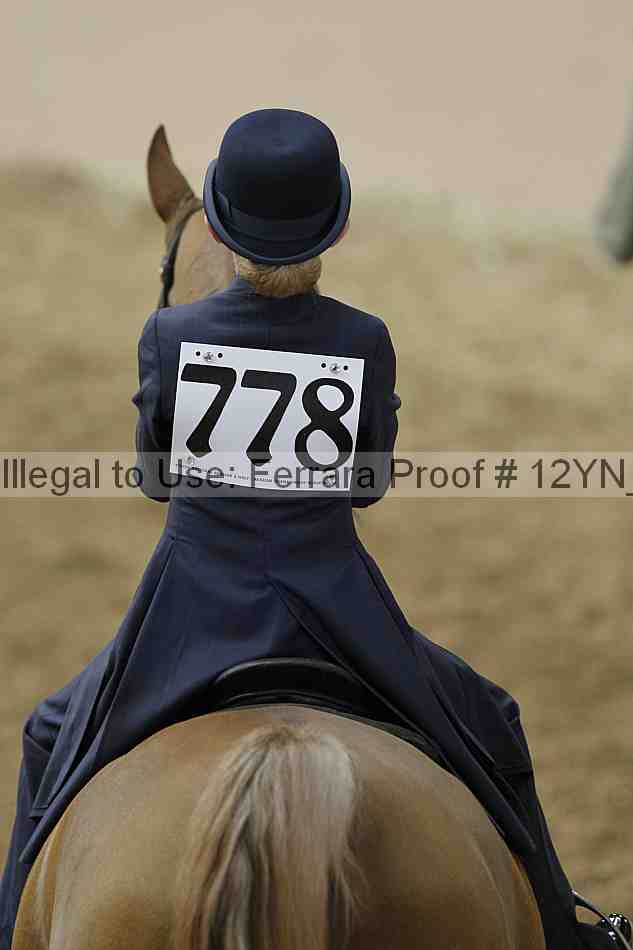 Proof Number 12yn_01039