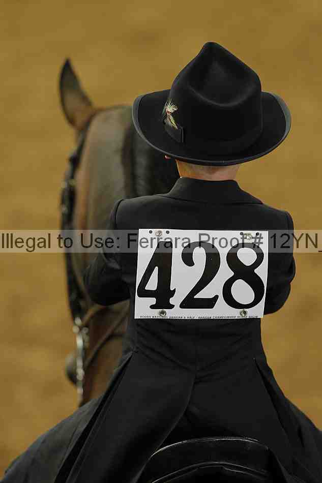 Proof Number 12yn_01040