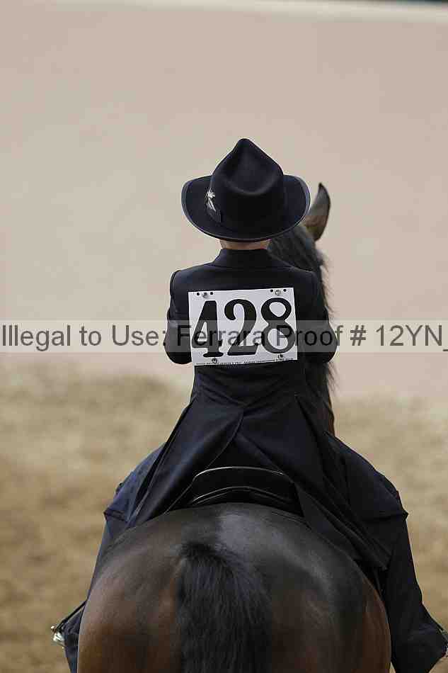 Proof Number 12yn_01043
