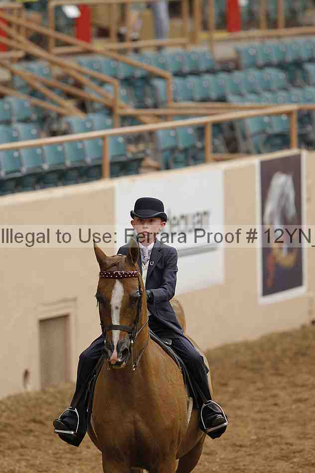 Proof Number 12yn_01048