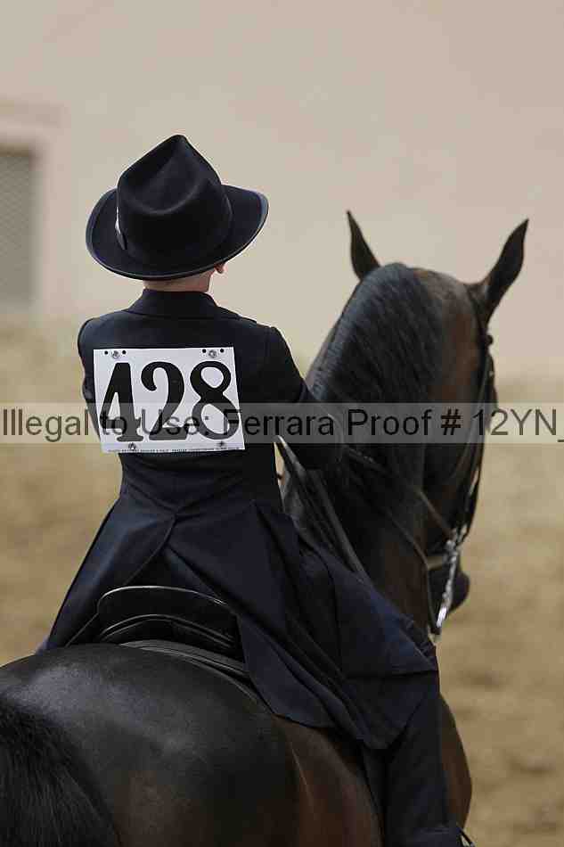 Proof Number 12yn_01061