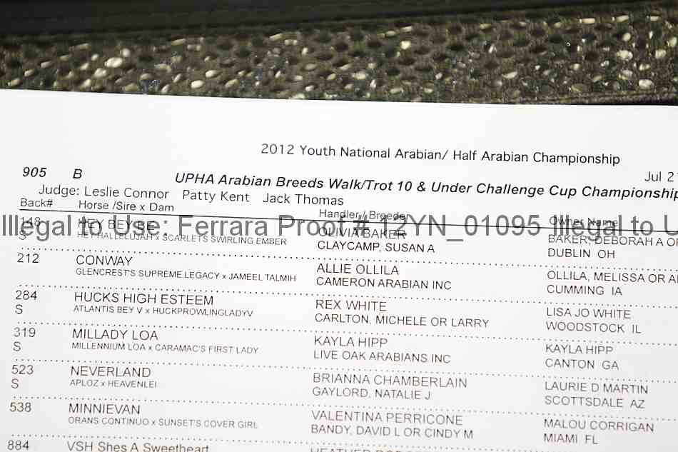 Proof Number 12yn_01095