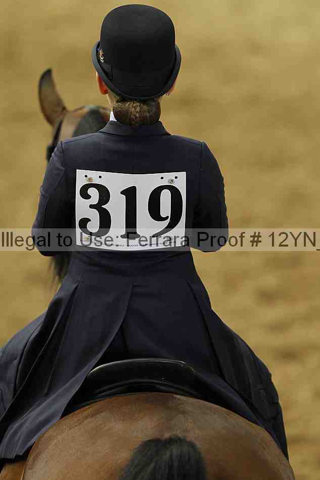 Proof Number 12yn_01097