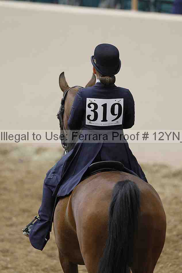 Proof Number 12yn_01099