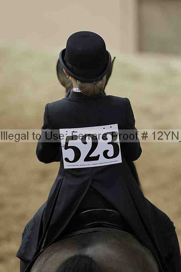 Proof Number 12yn_01104