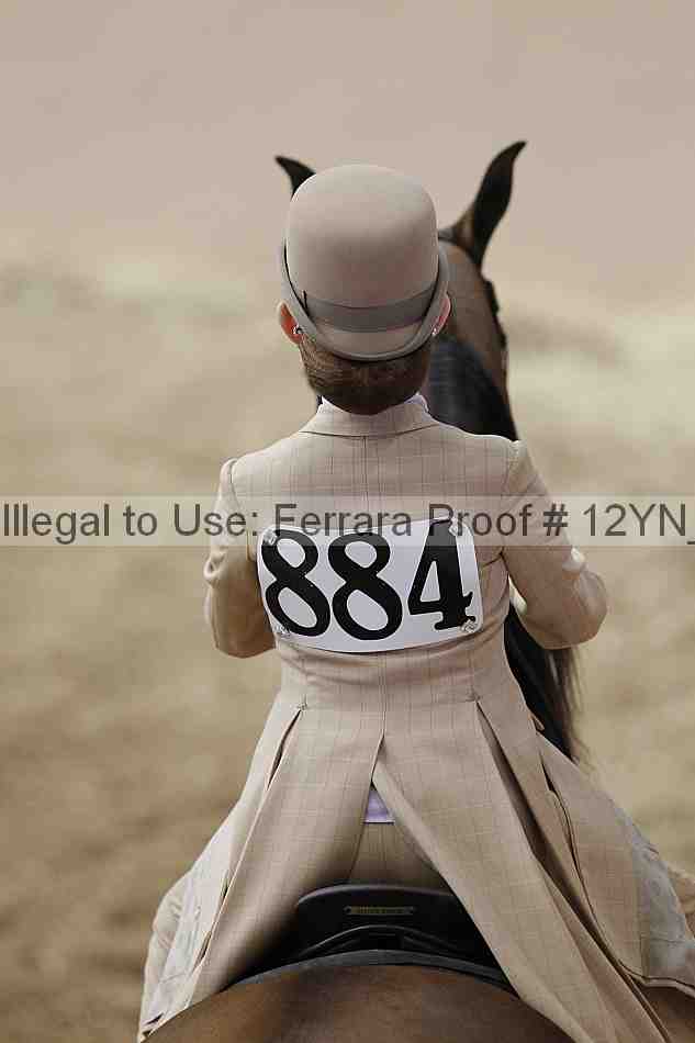 Proof Number 12yn_01107