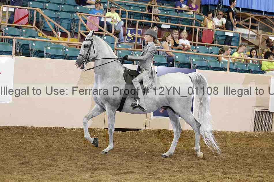 Proof Number 12yn_01108