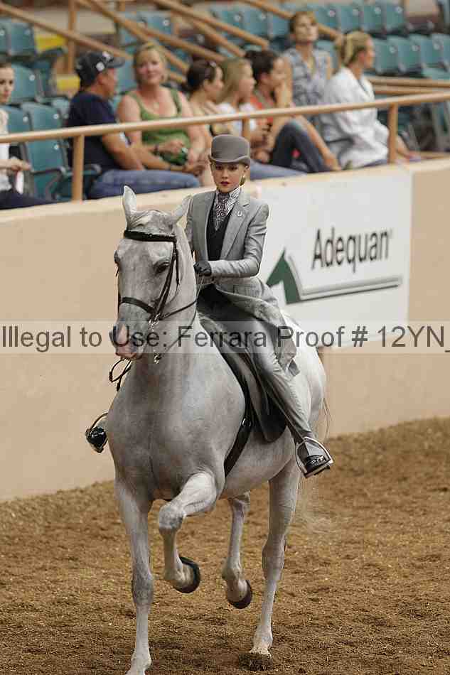 Proof Number 12yn_01129