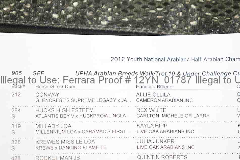 Proof Number 12yn_01787