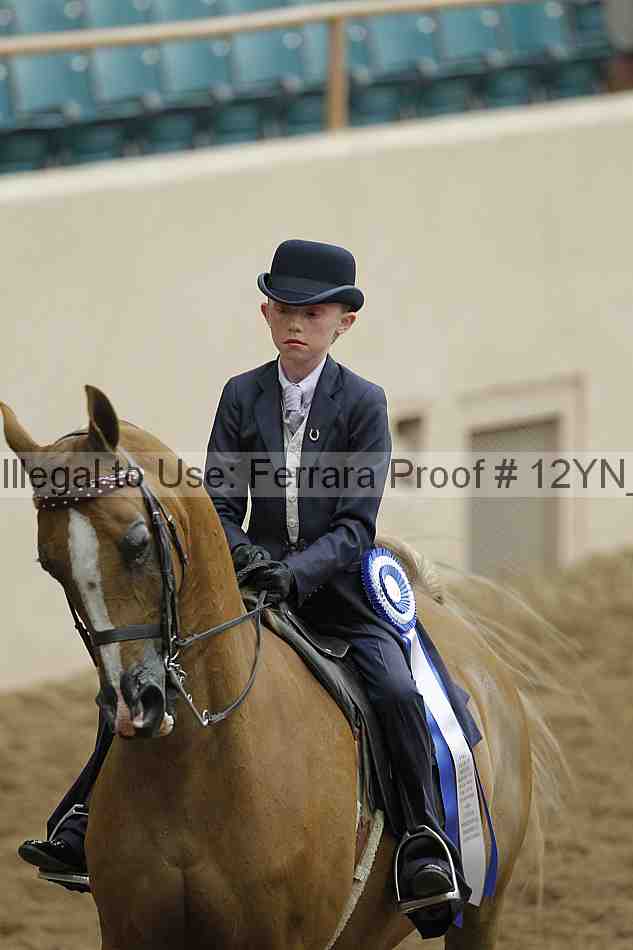 Proof Number 12yn_01899