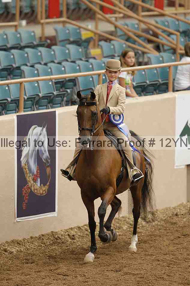 Proof Number 12yn_01906