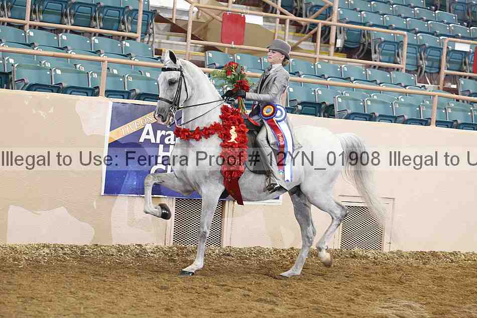 Proof Number 12yn_01908