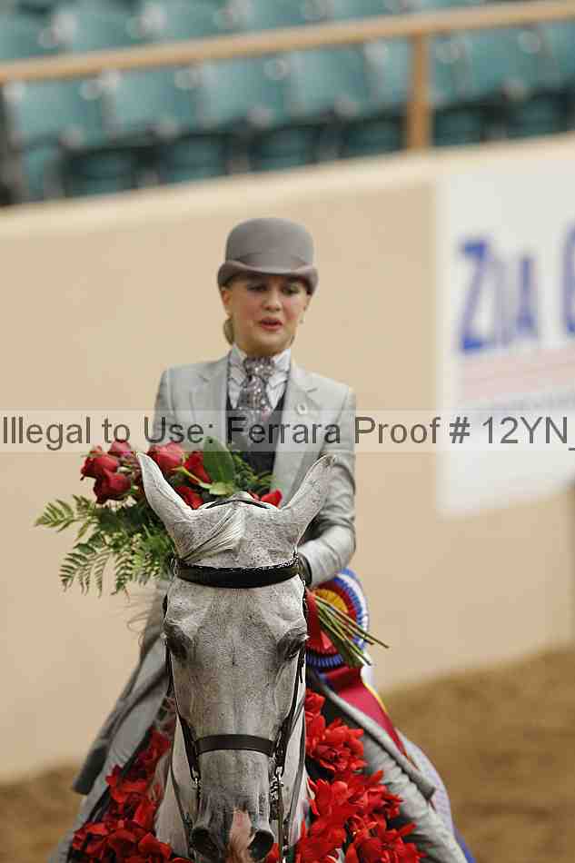 Proof Number 12yn_01920