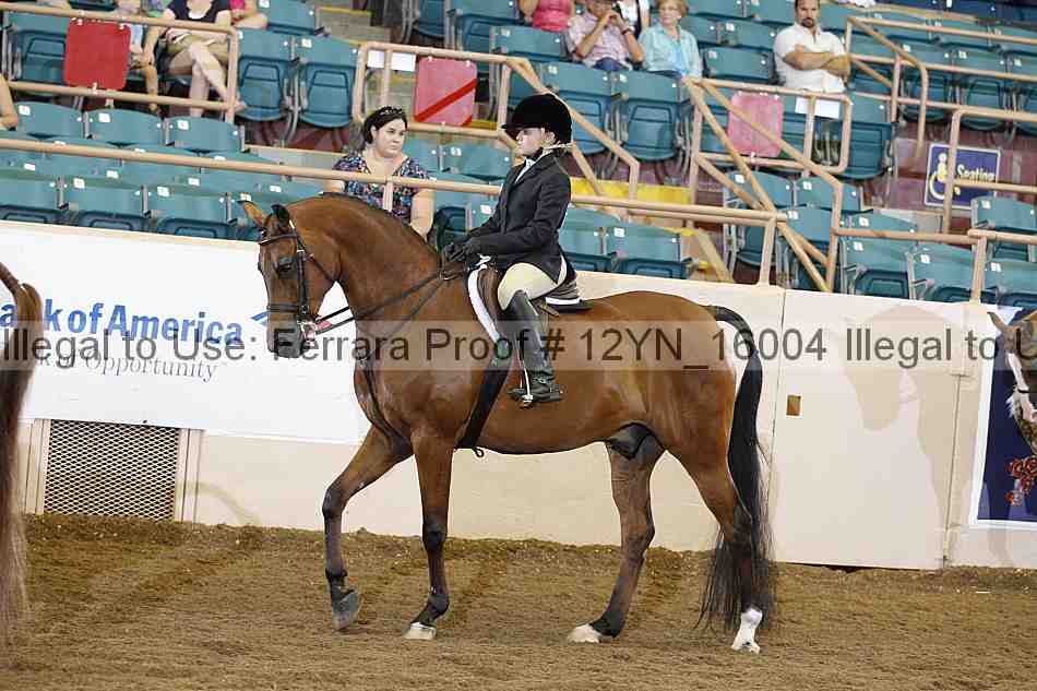 Proof Number 12yn_16004