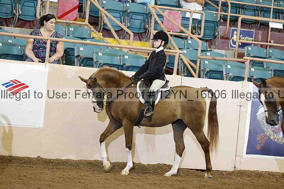 Proof Number 12yn_16006