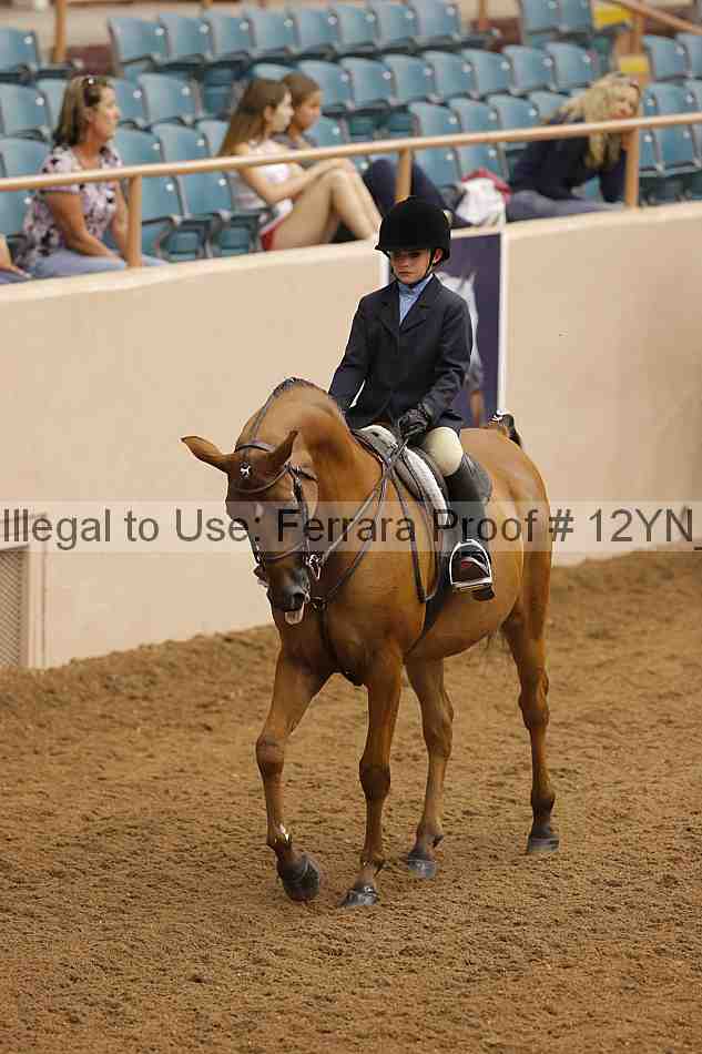 Proof Number 12yn_16008
