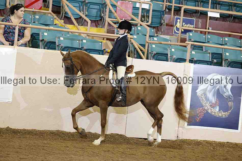 Proof Number 12yn_16009