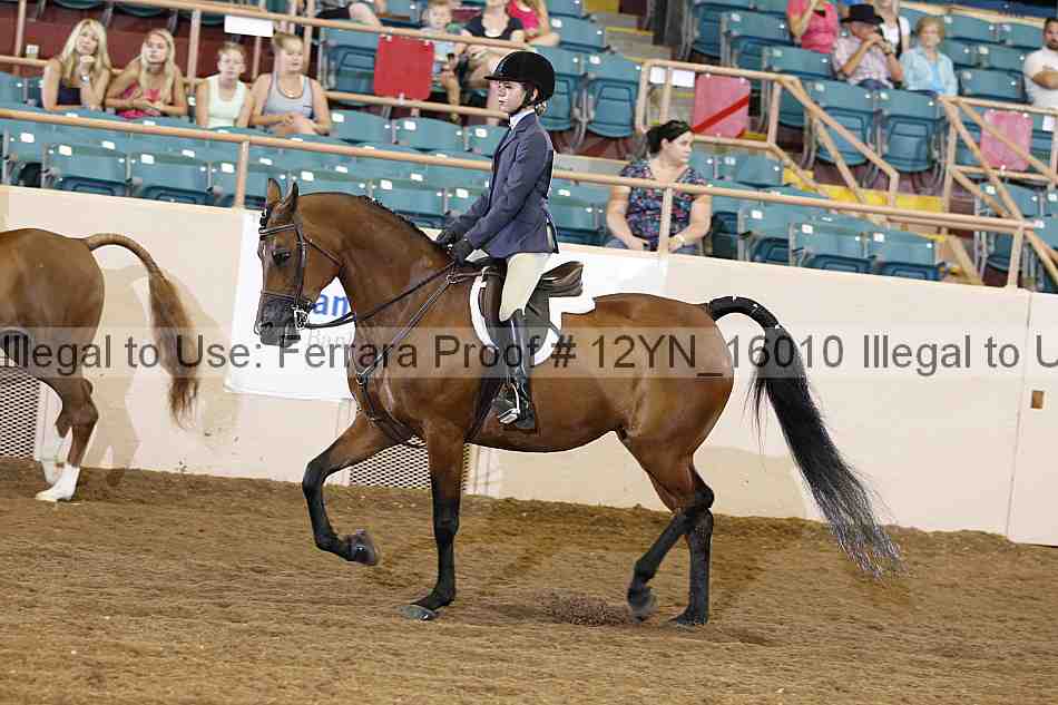 Proof Number 12yn_16010