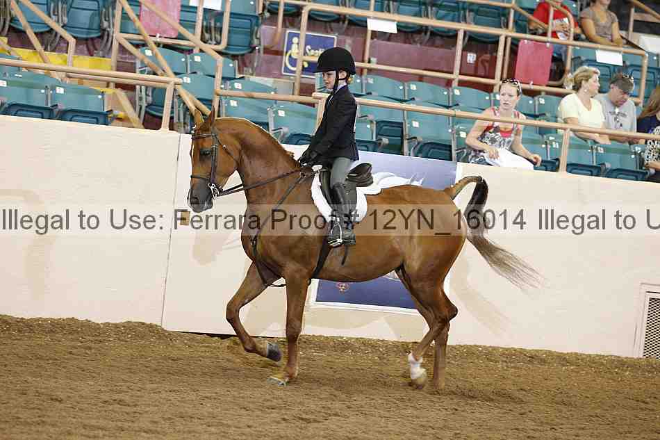 Proof Number 12yn_16014