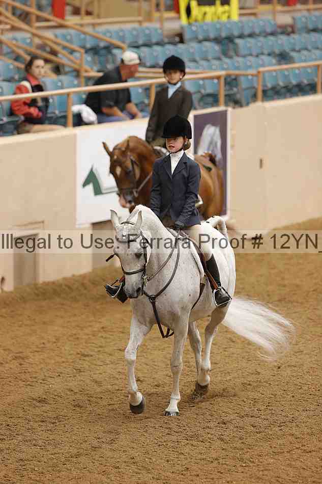 Proof Number 12yn_16018