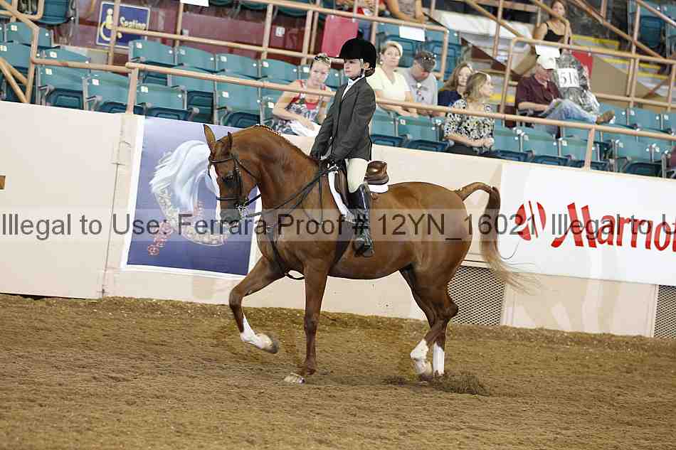 Proof Number 12yn_16021