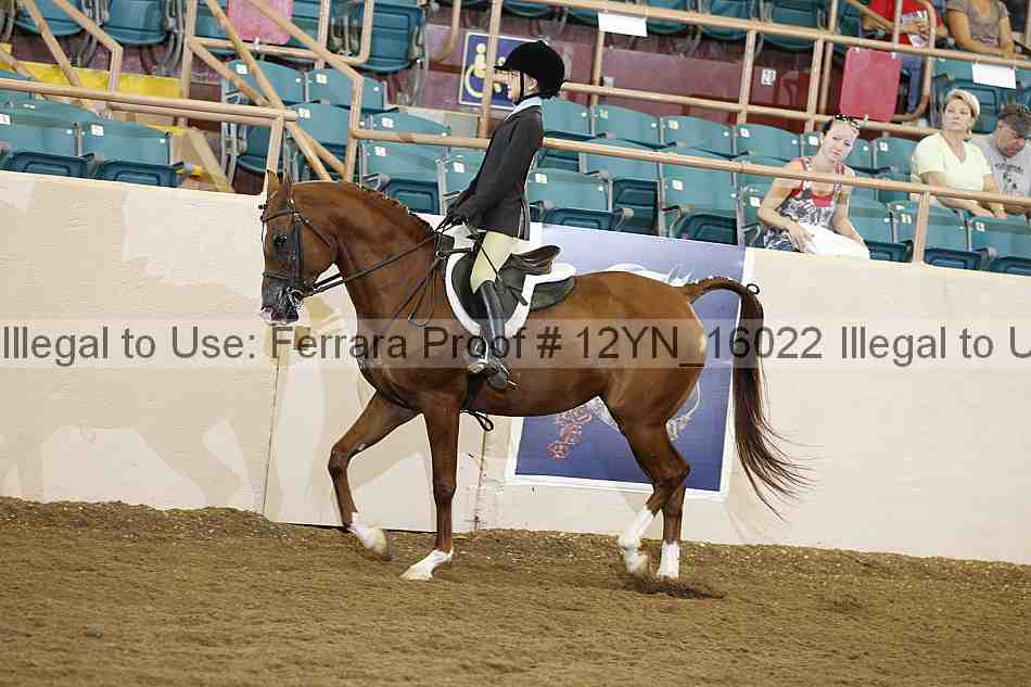 Proof Number 12yn_16022