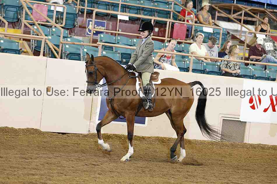 Proof Number 12yn_16025