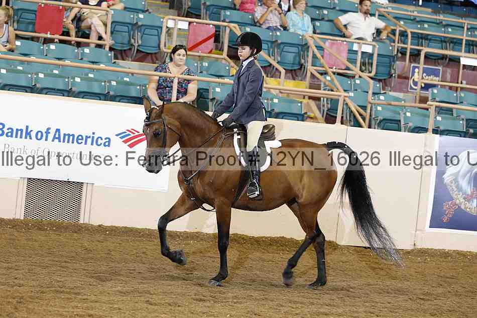 Proof Number 12yn_16026