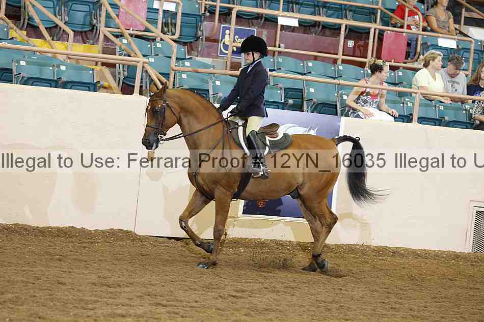 Proof Number 12yn_16035