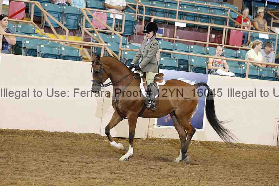 Proof Number 12yn_16045