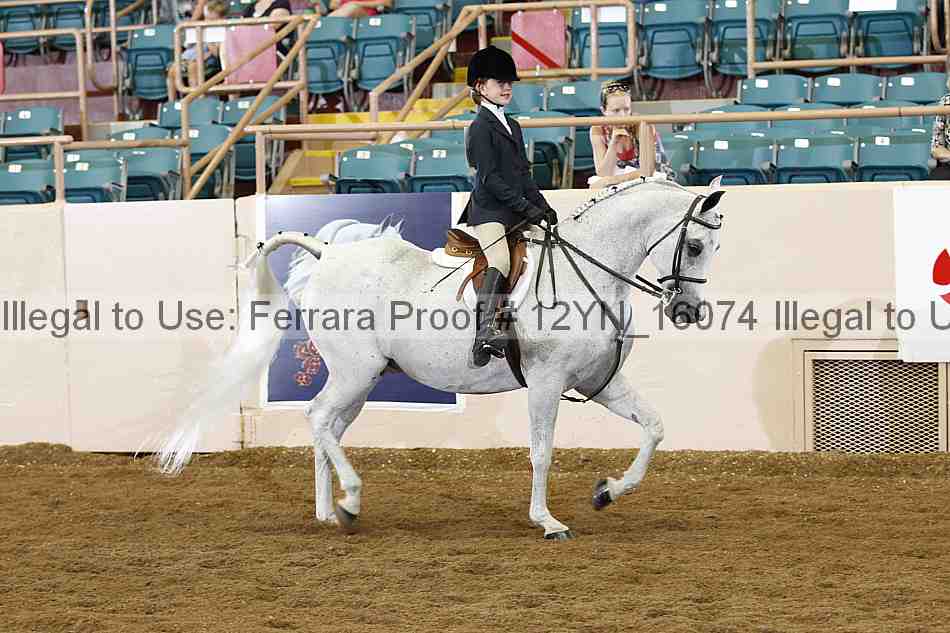 Proof Number 12yn_16074