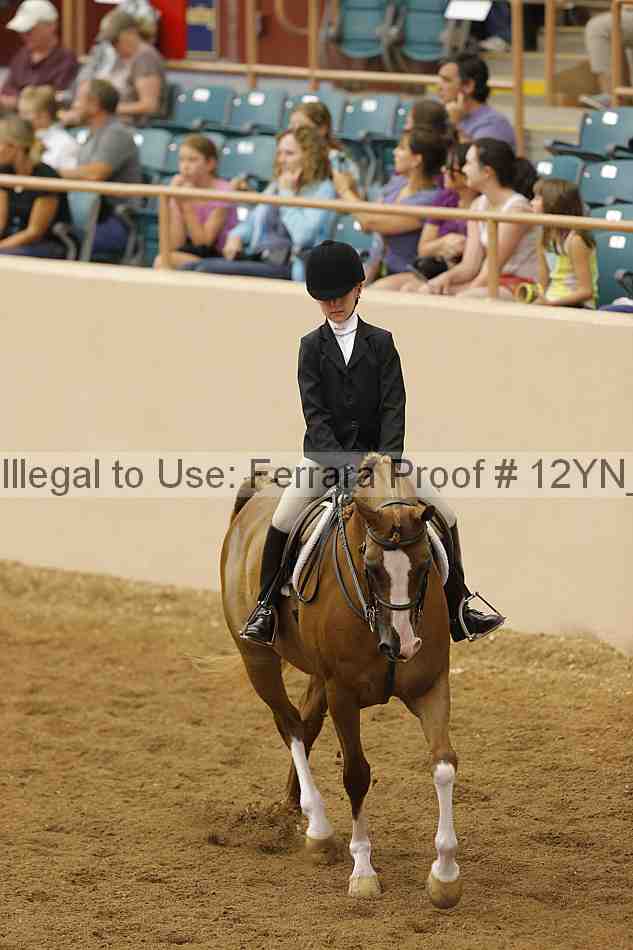 Proof Number 12yn_16075