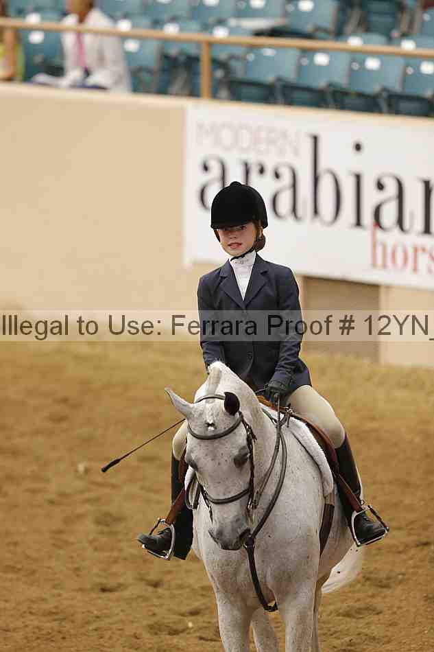 Proof Number 12yn_16077