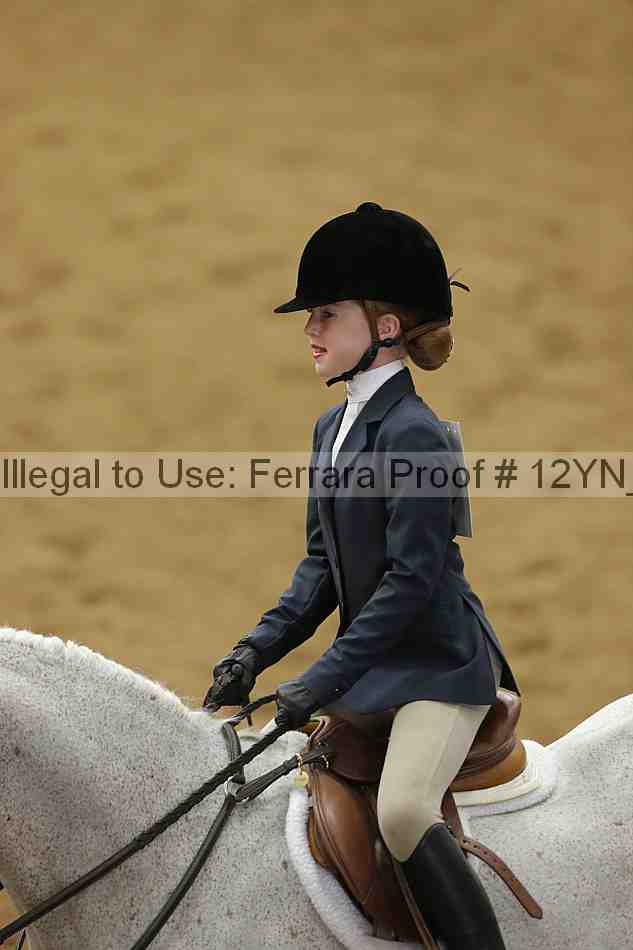 Proof Number 12yn_16078