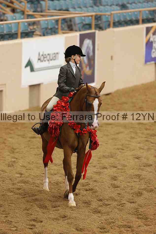 Proof Number 12yn_16126