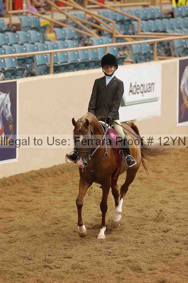 Proof Number 12yn_16150