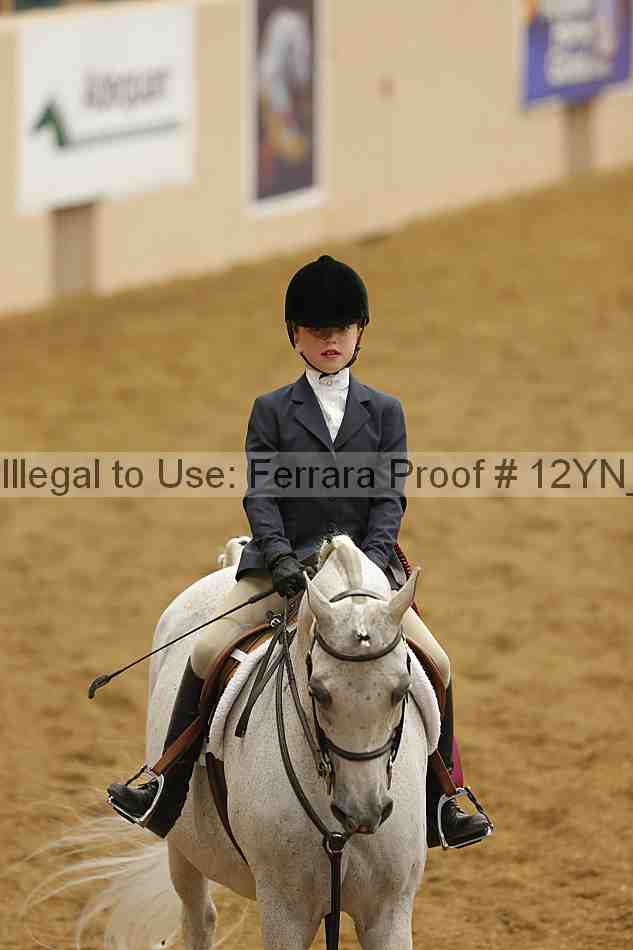 Proof Number 12yn_16161