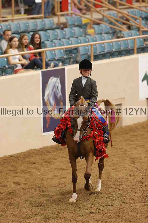 Proof Number 12yn_16171